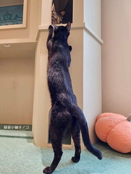 1683041449253.jpg 1683041449253.jpg