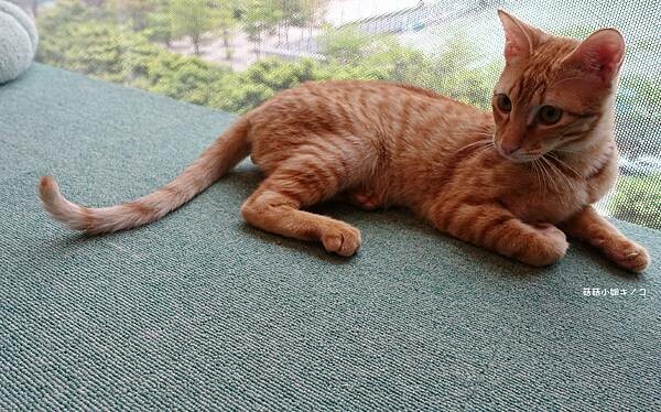 DSC06268.JPG DSC06268.JPG