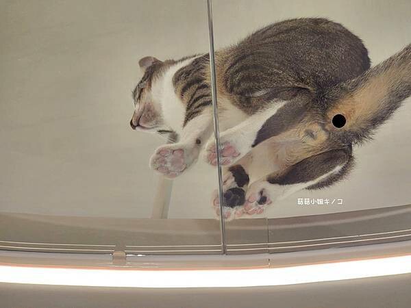 1683041450991.jpg 1683041450991.jpg