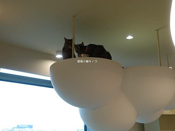 DSC06374.JPG DSC06374.JPG