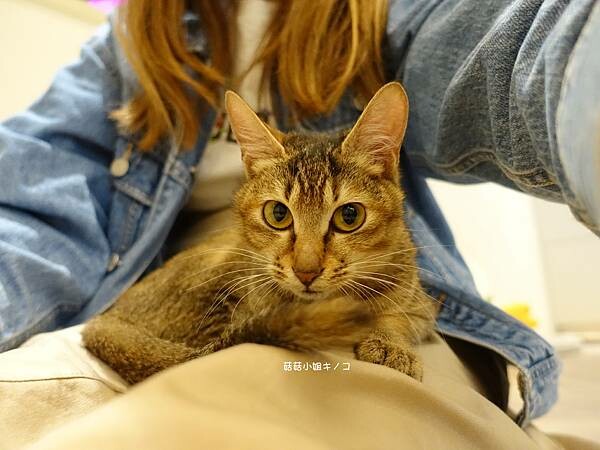 DSC06376.JPG DSC06376.JPG