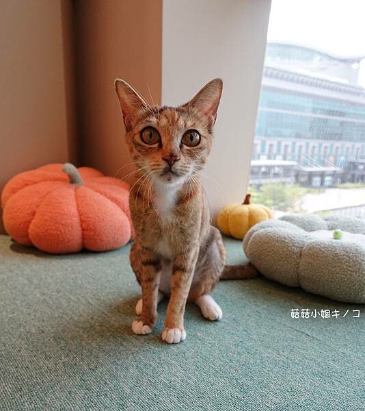 DSC06243.JPG DSC06243.JPG