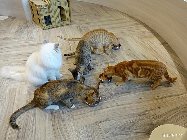 DSC06354.JPG DSC06354.JPG