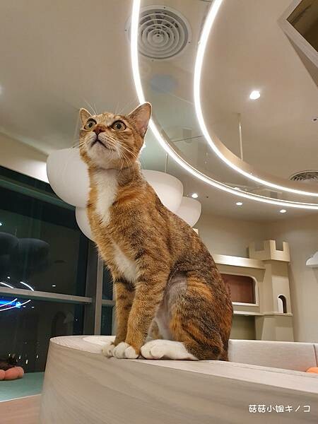 20230322_193542.jpg 20230322_193542.jpg