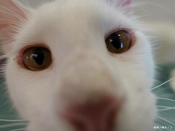 DSC06318.JPG DSC06318.JPG