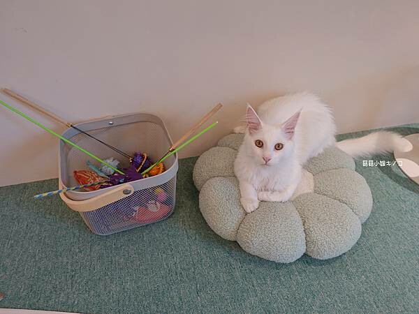 DSC06315.JPG DSC06315.JPG