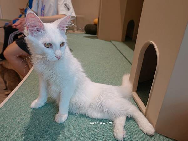 DSC06277.JPG DSC06277.JPG