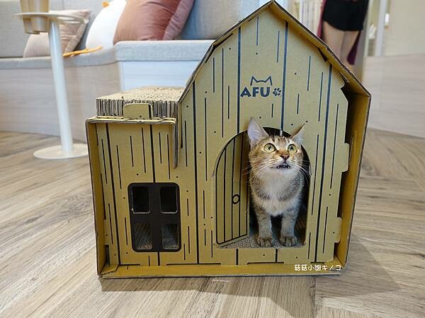 DSC06212.JPG DSC06212.JPG