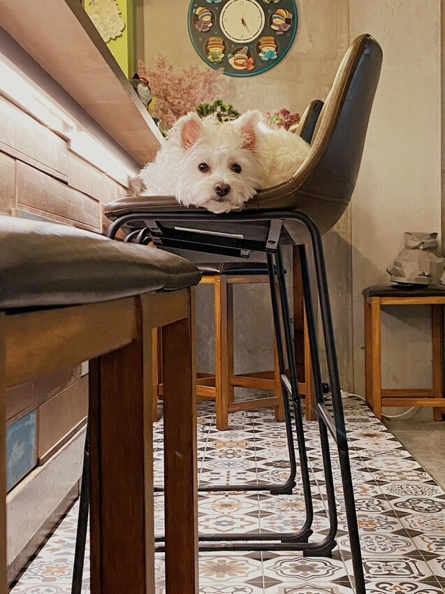 錯過笑ㄟ咖啡,Poseidon Cafe海神咖啡屋也有很棒的海景景觀座位區,蘇澳情人灣!