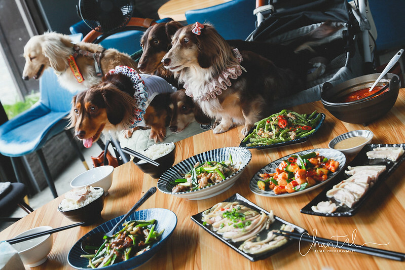 1J6A9410-2拷貝 拷貝 1J6A9410-2拷貝 拷貝