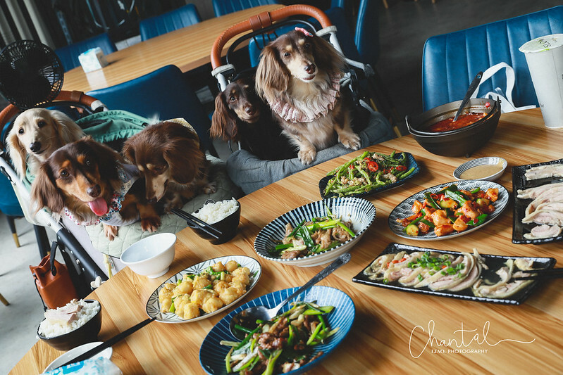 1J6A9420-2拷貝 拷貝 1J6A9420-2拷貝 拷貝