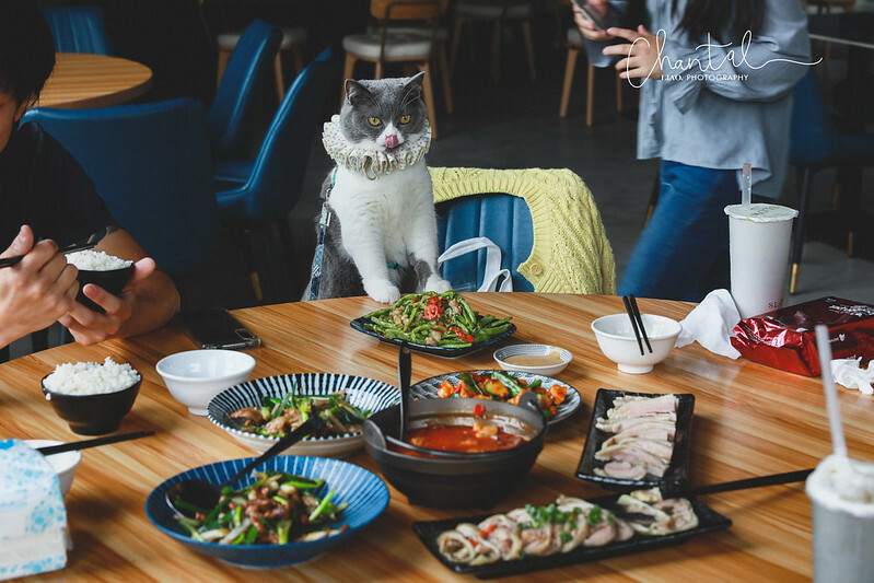 1J6A9369-2拷貝 拷貝 1J6A9369-2拷貝 拷貝