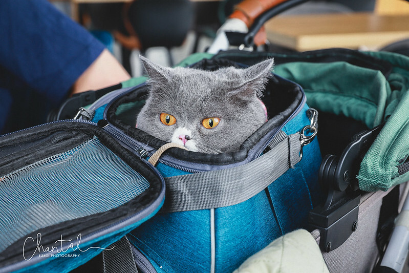 1J6A9340-2拷貝 拷貝 1J6A9340-2拷貝 拷貝