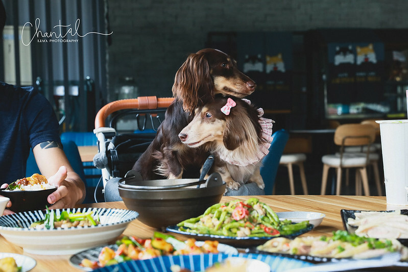 1J6A9428-2拷貝 拷貝 1J6A9428-2拷貝 拷貝