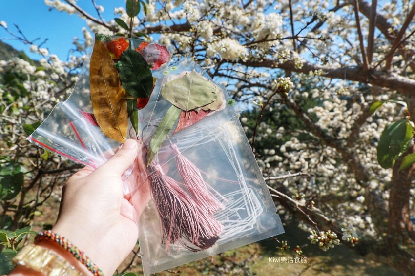 新竹霧語WooYuu雲頂上的豪華露營｜免裝備懶人露營，一泊二食.DIY體驗，賞櫻花、雲海趁現在！ - Kiwi 樂活食旅