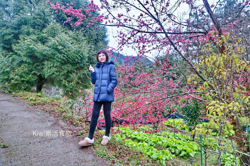 新竹霧語WooYuu雲頂上的豪華露營｜免裝備懶人露營，一泊二食.DIY體驗，賞櫻花、雲海趁現在！ - Kiwi 樂活食旅