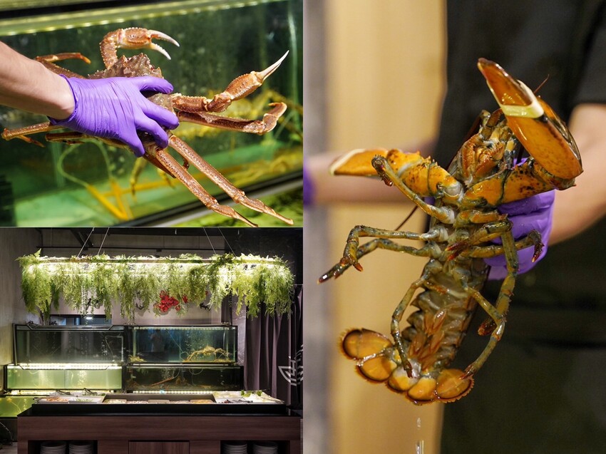 【新竹美食】竹北遠百周邊新開幕「酉Shabu」精緻鍋物，有現撈生猛海鮮、豐富蔬菜自助吧！氣派的裝潢特別適合聚餐，更有多間包廂可以預約～ - 阿華田的美食日記