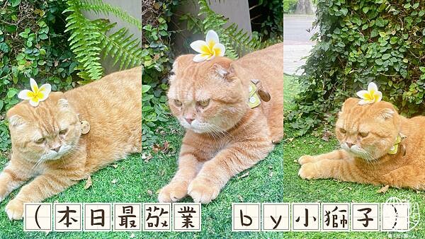 R-Star Coffee52.JPG R-Star Coffee52.JPG