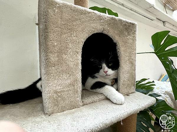 R-Star Coffee57.jpg R-Star Coffee57.jpg