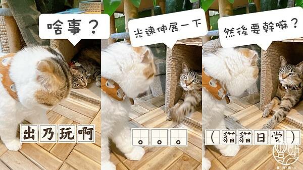 R-Star Coffee51.JPG R-Star Coffee51.JPG