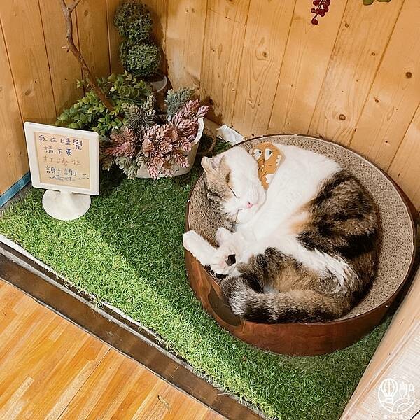 R-Star Coffee14.JPG R-Star Coffee14.JPG