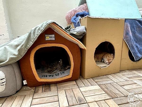 R-Star Coffee55.jpg R-Star Coffee55.jpg