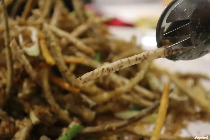 [高雄三民區熱炒推薦]天嚐地酒熱炒店/招牌成都老鴨鍋/金沙蝦