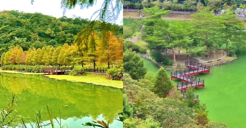 宜蘭縣頭城鎮宜蘭【頭城車站阿伯炸蛋蔥油餅】40年老店一週只賣三天的排隊美食，加蛋青蔥45元