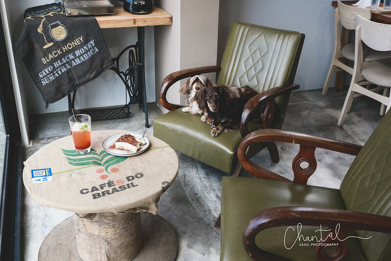 1J6A8217-2拷貝 拷貝