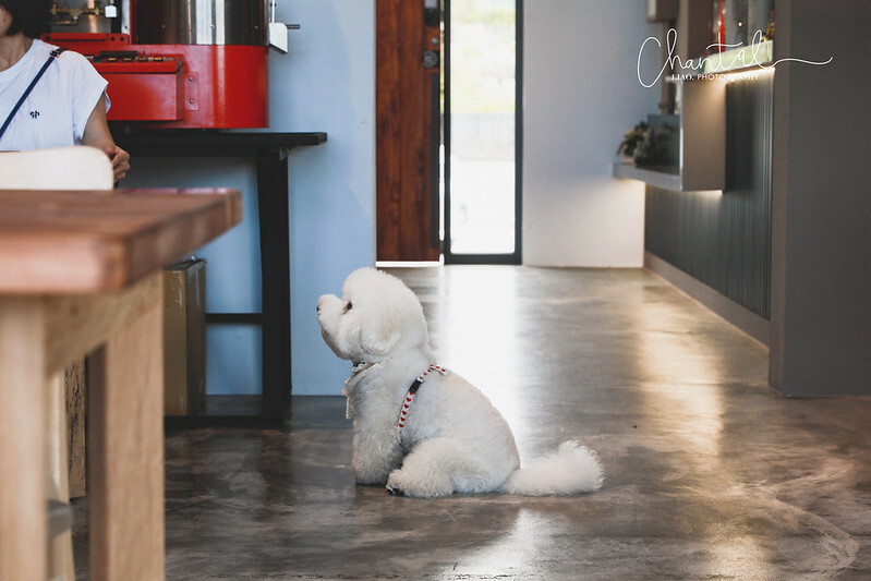 1J6A8228-2拷貝 拷貝