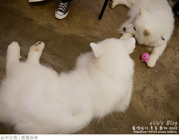 鹿雅森林-48.jpg 鹿雅森林-48.jpg