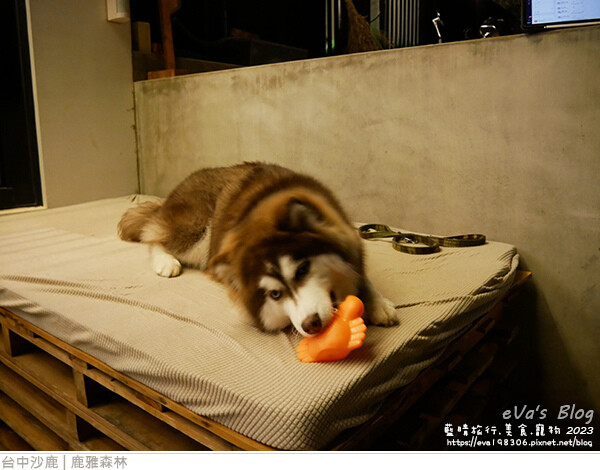 鹿雅森林-59.jpg 鹿雅森林-59.jpg