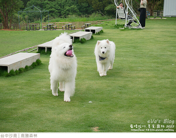 鹿雅森林-18.jpg 鹿雅森林-18.jpg