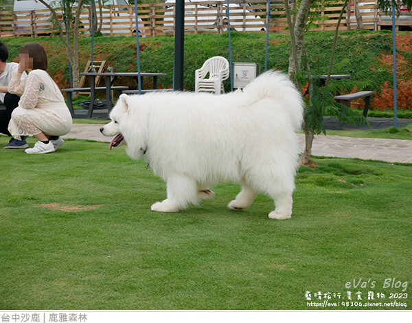 鹿雅森林-14.jpg 鹿雅森林-14.jpg