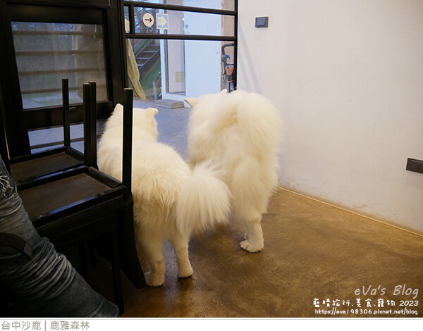 鹿雅森林-39.jpg 鹿雅森林-39.jpg