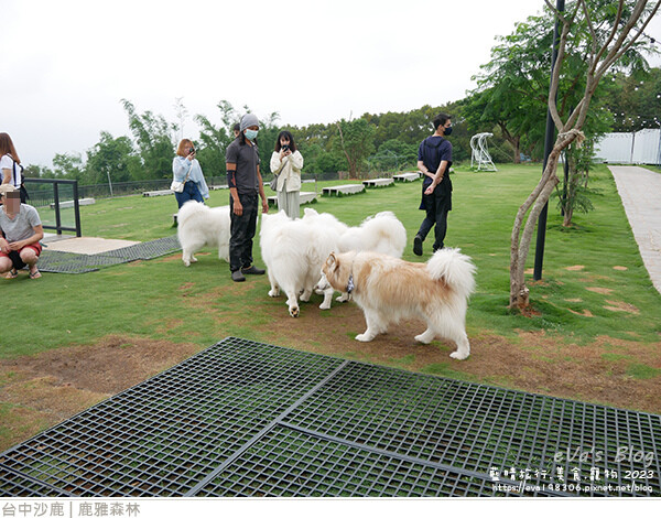 鹿雅森林-05.jpg 鹿雅森林-05.jpg