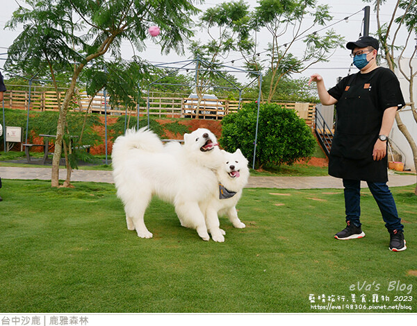 鹿雅森林-21.jpg 鹿雅森林-21.jpg