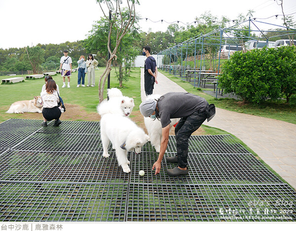 鹿雅森林-07.jpg 鹿雅森林-07.jpg