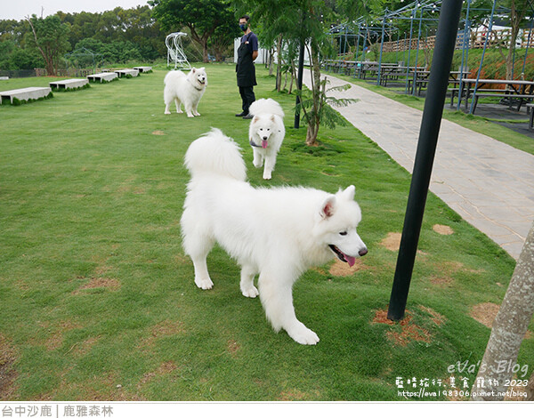 鹿雅森林-06.jpg 鹿雅森林-06.jpg