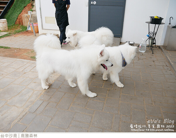 鹿雅森林-04.jpg 鹿雅森林-04.jpg