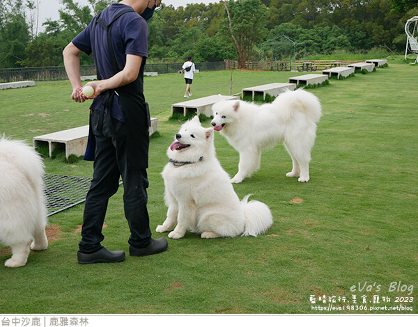 鹿雅森林-16.jpg 鹿雅森林-16.jpg