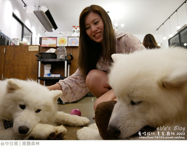 鹿雅森林-46.jpg 鹿雅森林-46.jpg