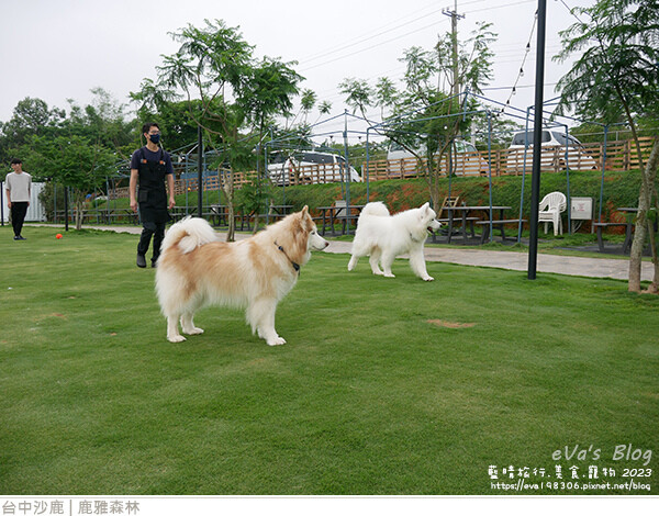 鹿雅森林-15.jpg 鹿雅森林-15.jpg