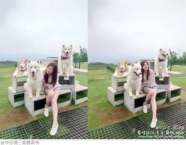 鹿雅森林-28.jpg 鹿雅森林-28.jpg