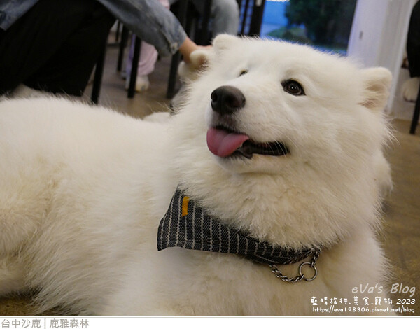 鹿雅森林-45.jpg 鹿雅森林-45.jpg