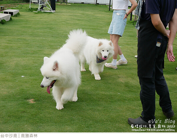 鹿雅森林-20.jpg 鹿雅森林-20.jpg