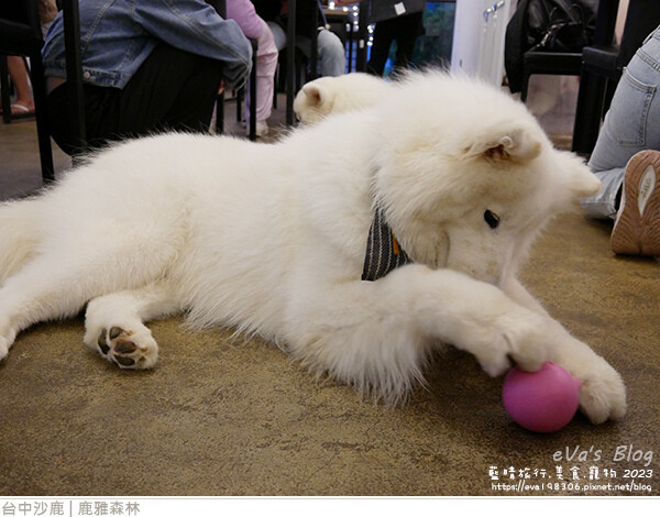 鹿雅森林-44.jpg 鹿雅森林-44.jpg