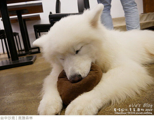 鹿雅森林-43.jpg 鹿雅森林-43.jpg