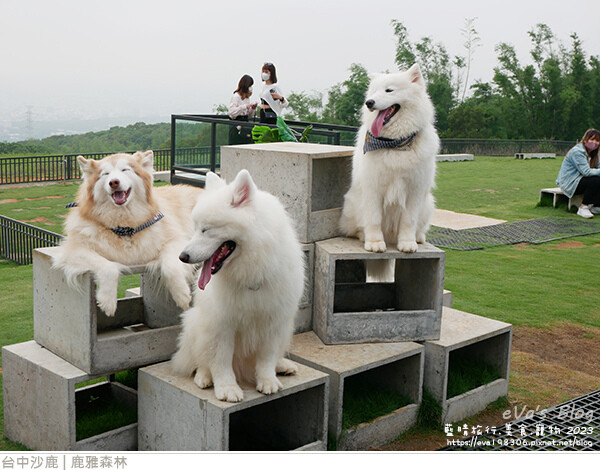 鹿雅森林-27.jpg 鹿雅森林-27.jpg