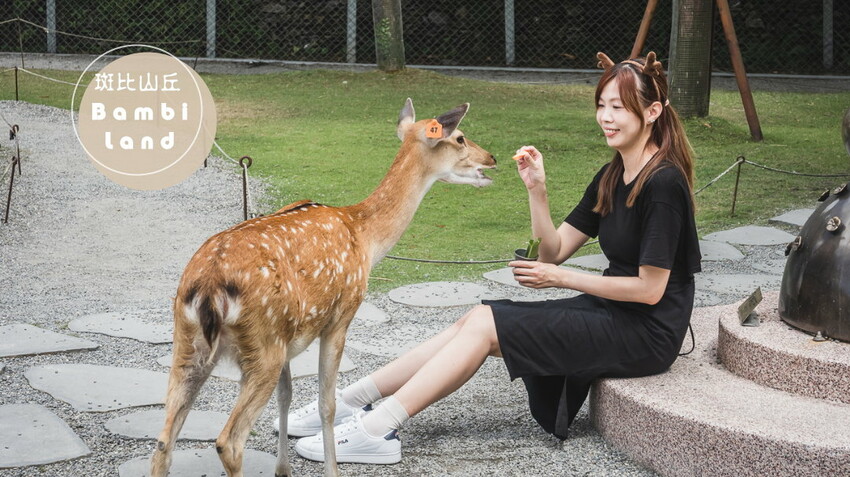 根本就是把整座公園搬進後院的獨棟溫馨親子民宿